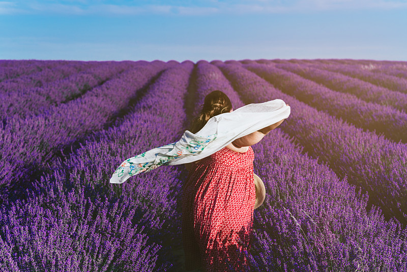 一张美丽的照片，一位女性在满是紫色花朵的田野里摆姿势摄影图片下载