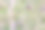 一群美丽的日本蜡翅(Bombycilla japonica)和波西米亚蜡翅(Bombycilla garrulus)(毛茛科)聚集在一起从树洞里喝水，有时彼此竞争。日本埼玉县久谷市荒川河绿洲公园摄影图片