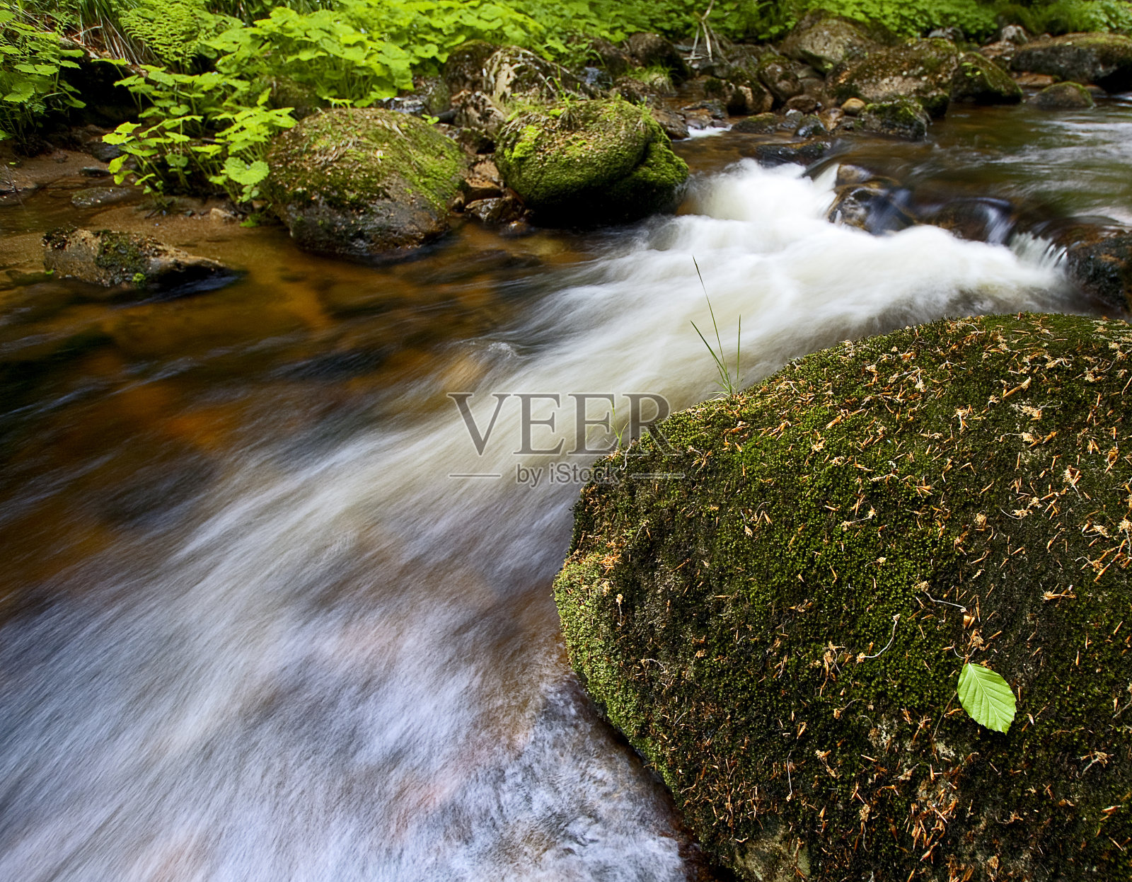 快速流动的小溪与单一的leave照片摄影图片