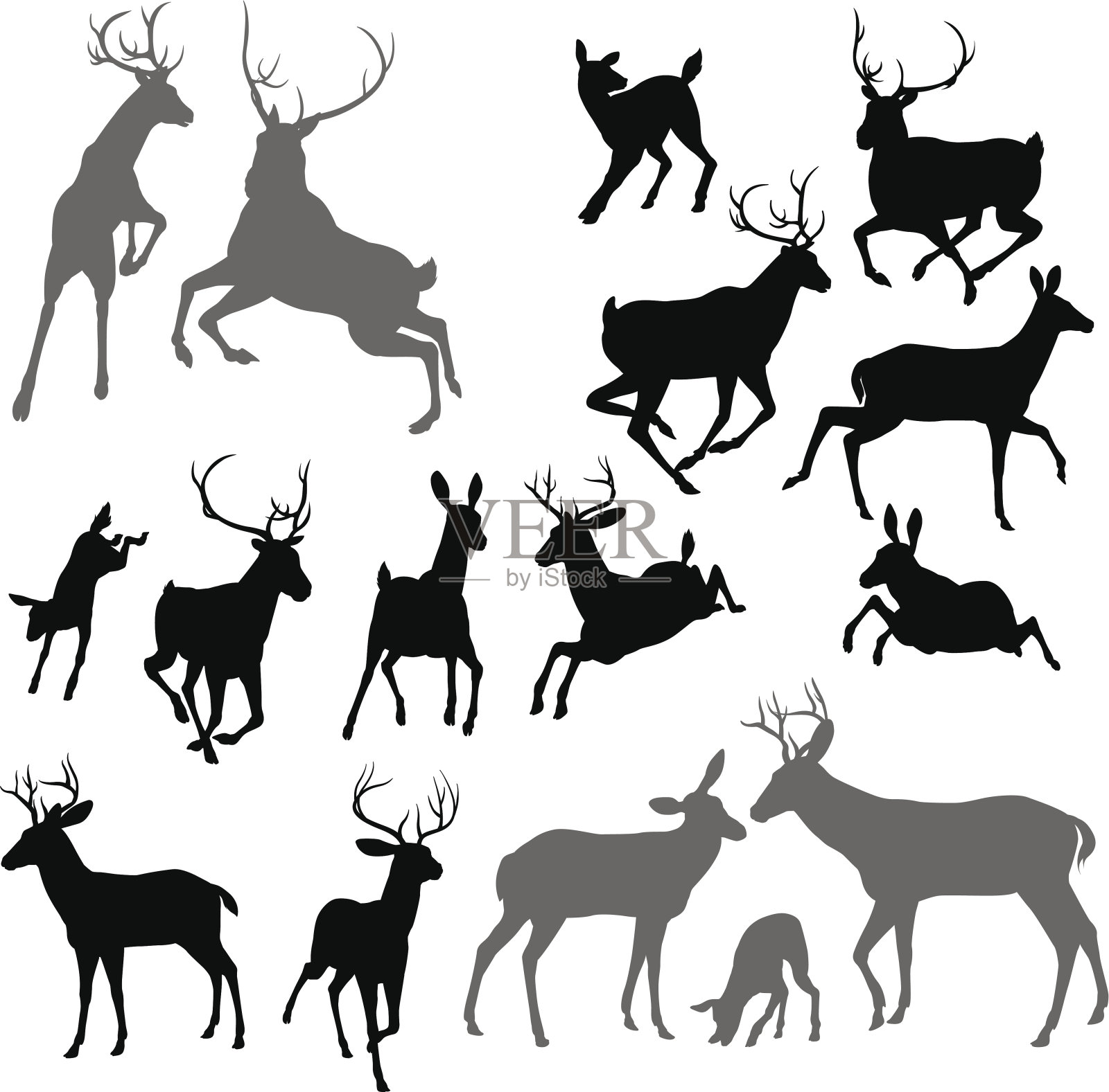 鹿的动物轮廓插画图片素材
