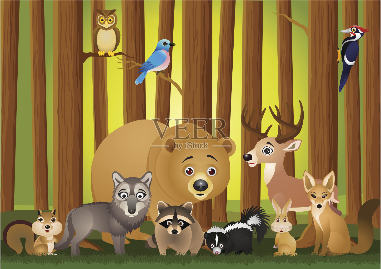 丛林里的野生动物插画图片素材