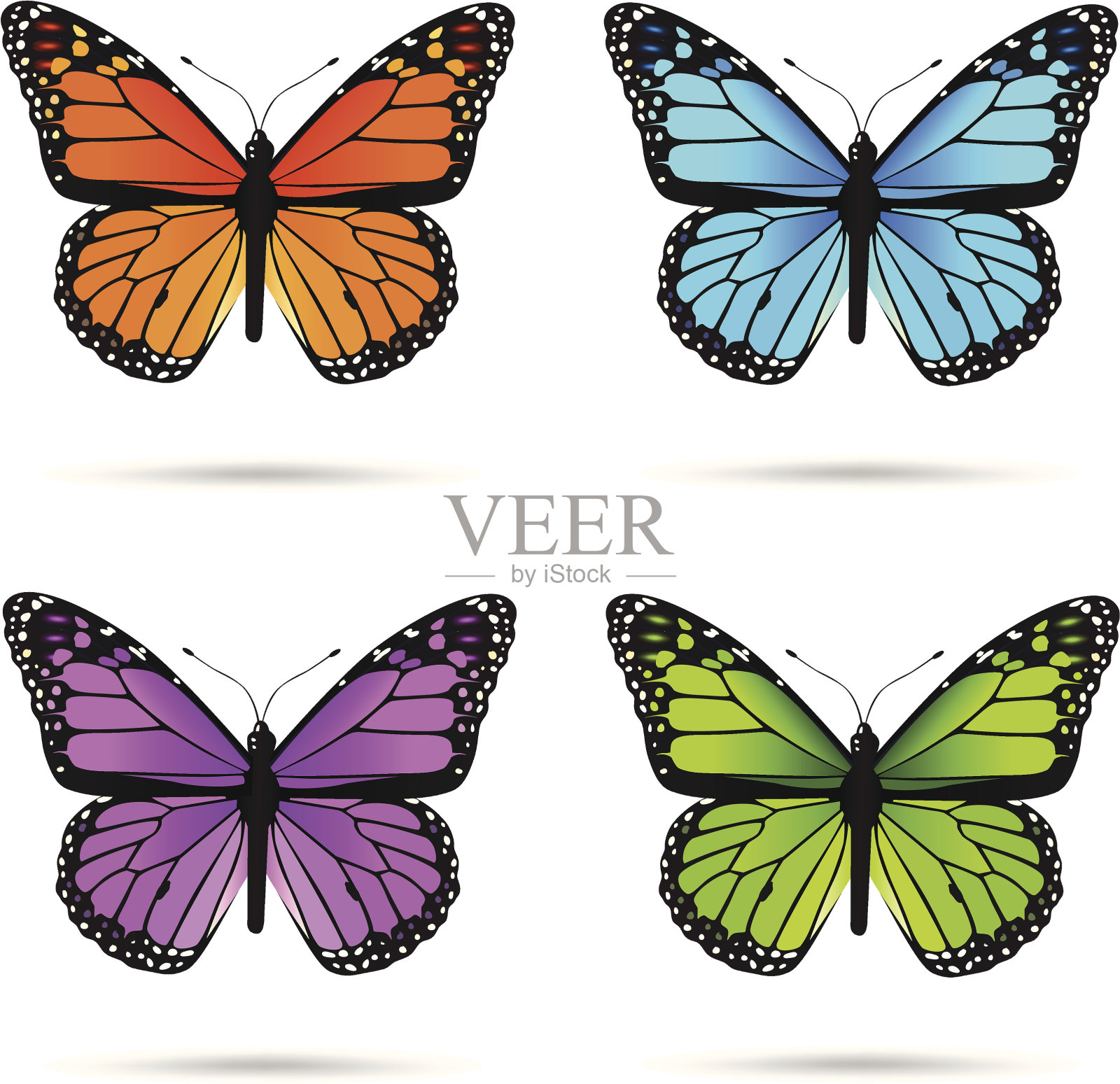 五彩缤纷的butteflies设计元素图片