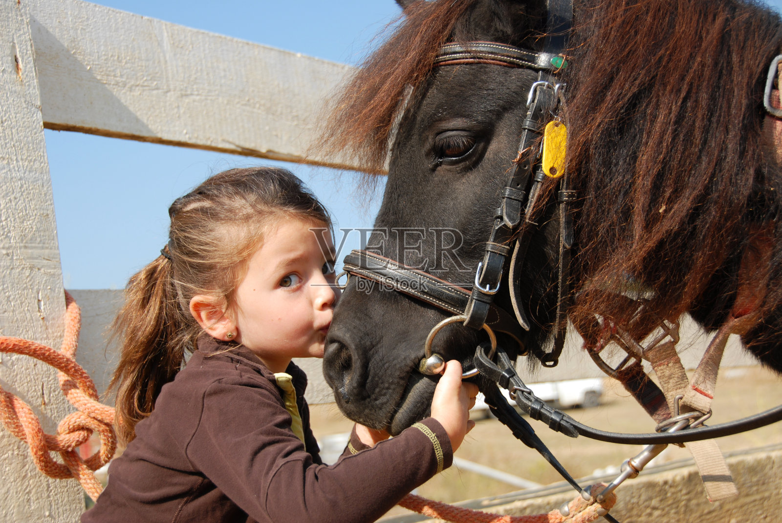 小女孩和她的小马照片摄影图片