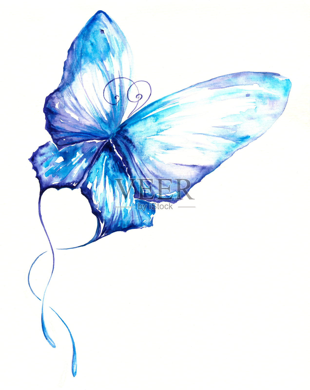 蝴蝶插画图片素材