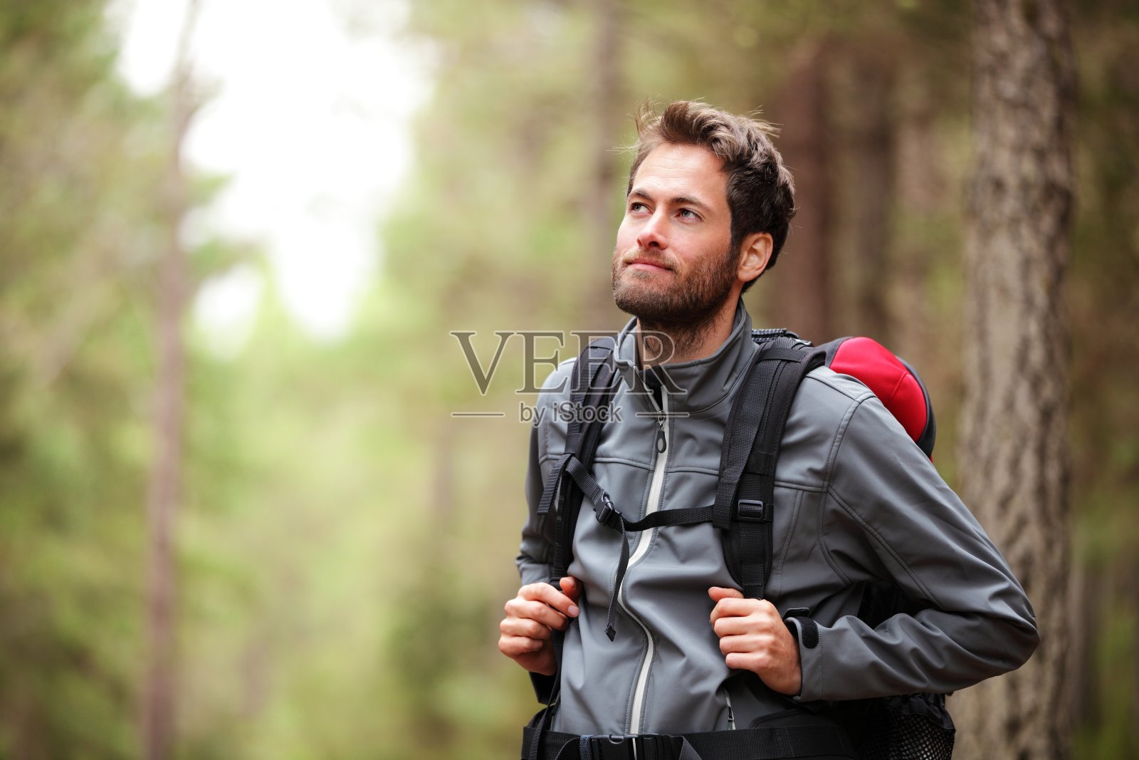 徒步旅行者-在森林中徒步旅行的人照片摄影图片