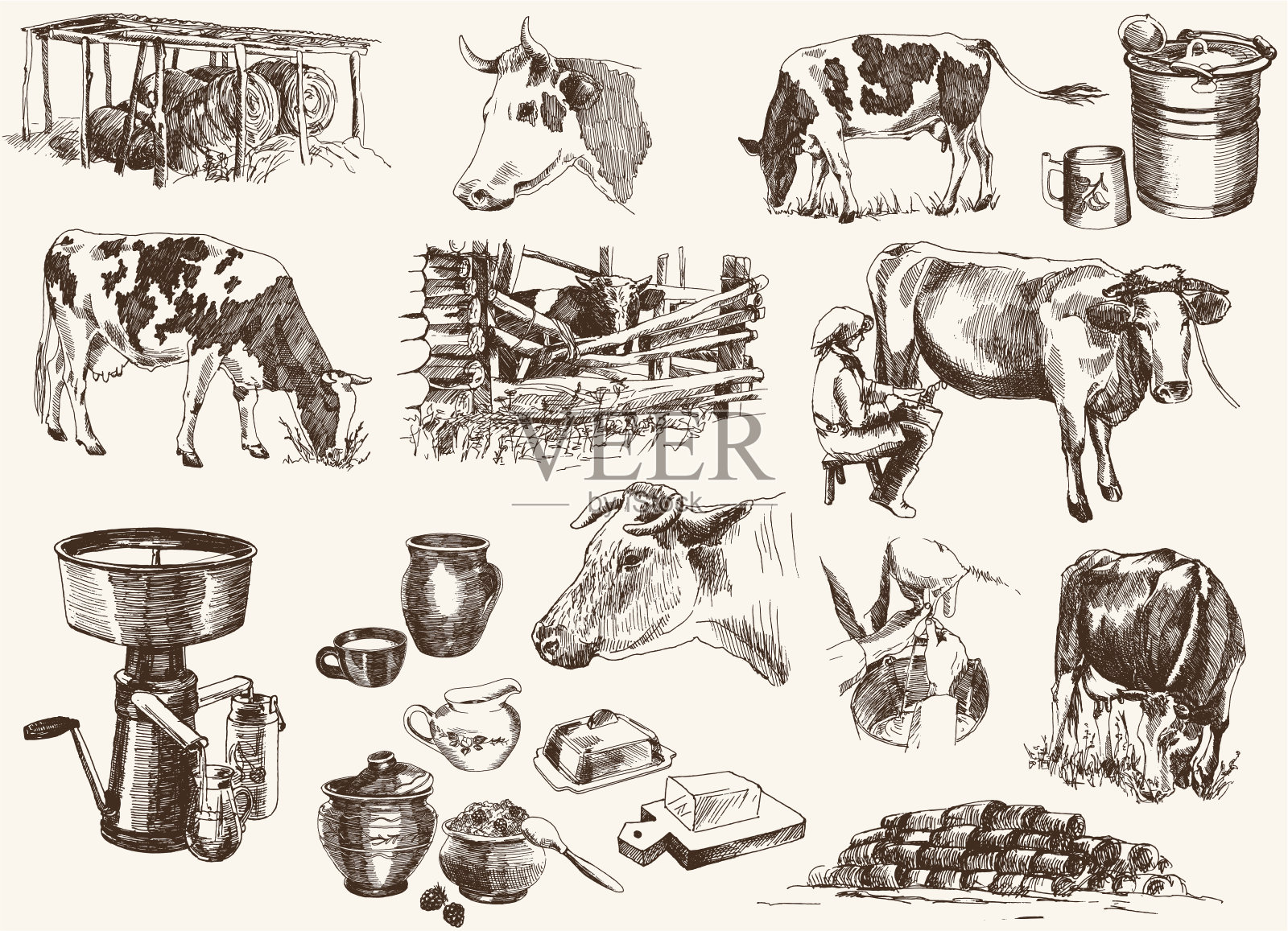 奶牛及奶制品插画图片素材