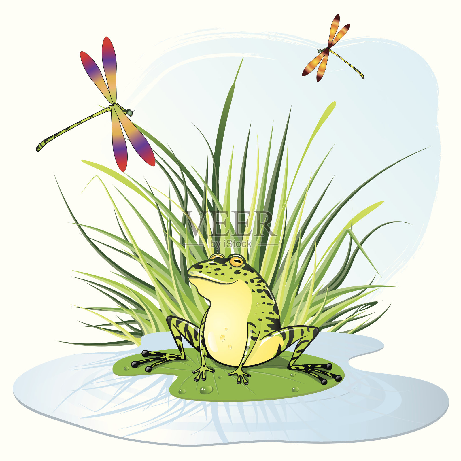 活泼的青蛙坐在草地前的睡莲上插画图片素材