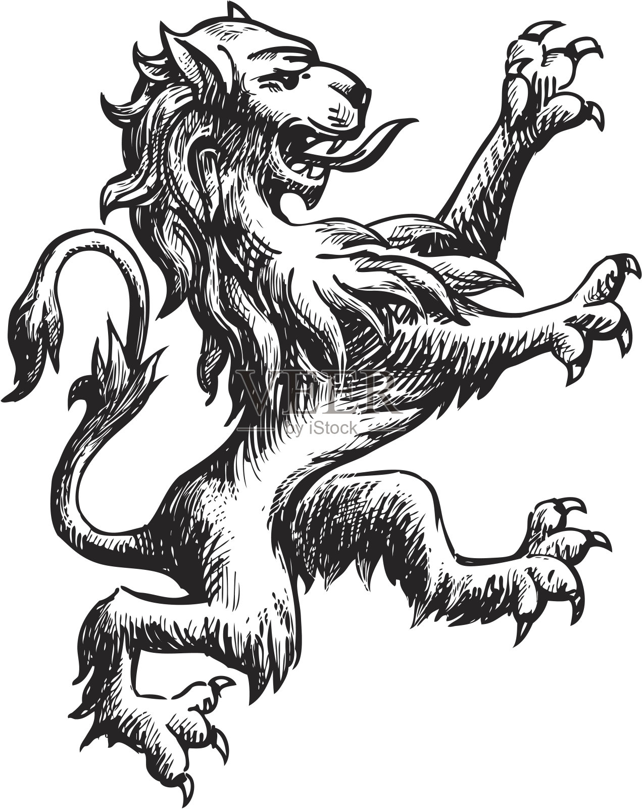 狮子纹章插画图片素材