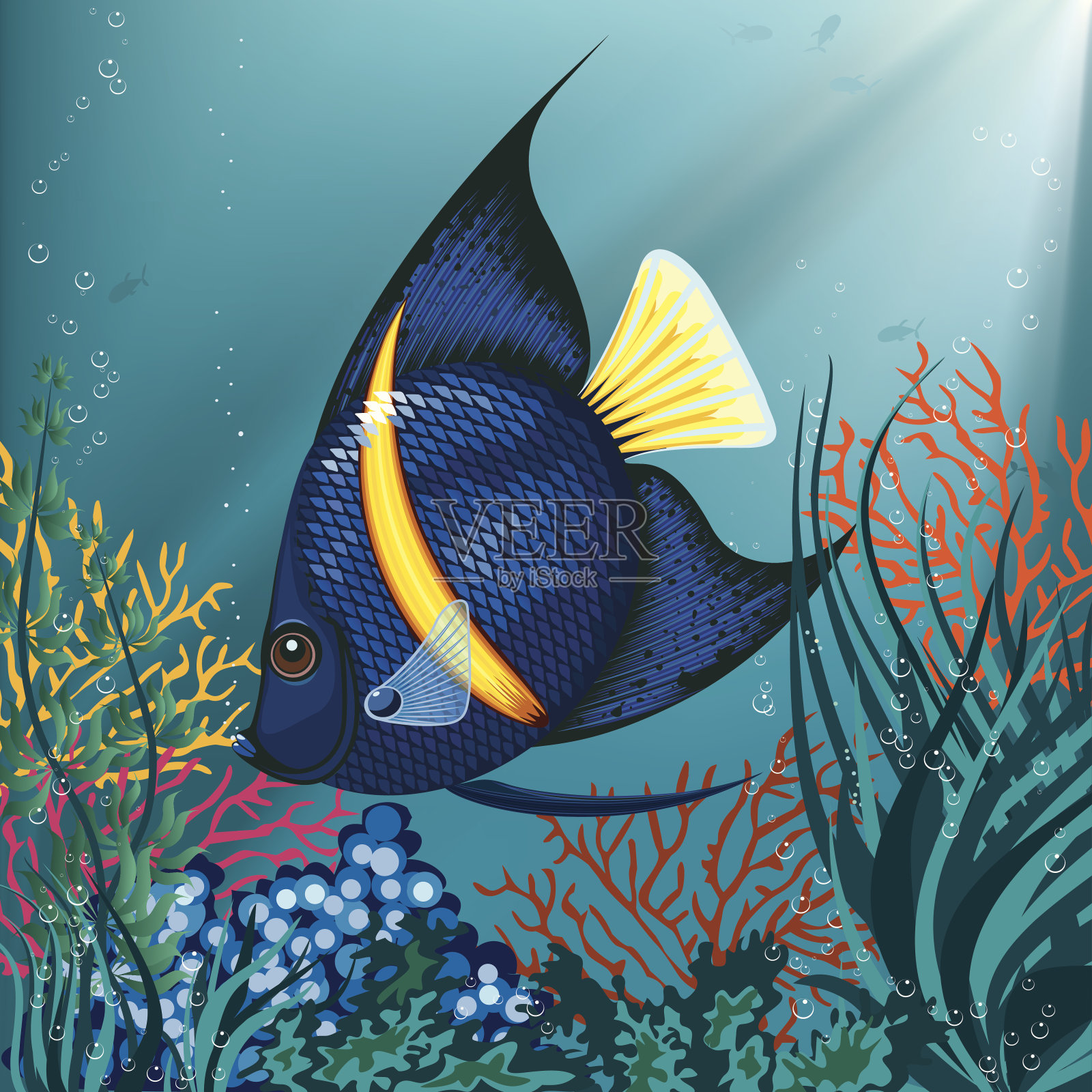 热带鱼插画图片素材