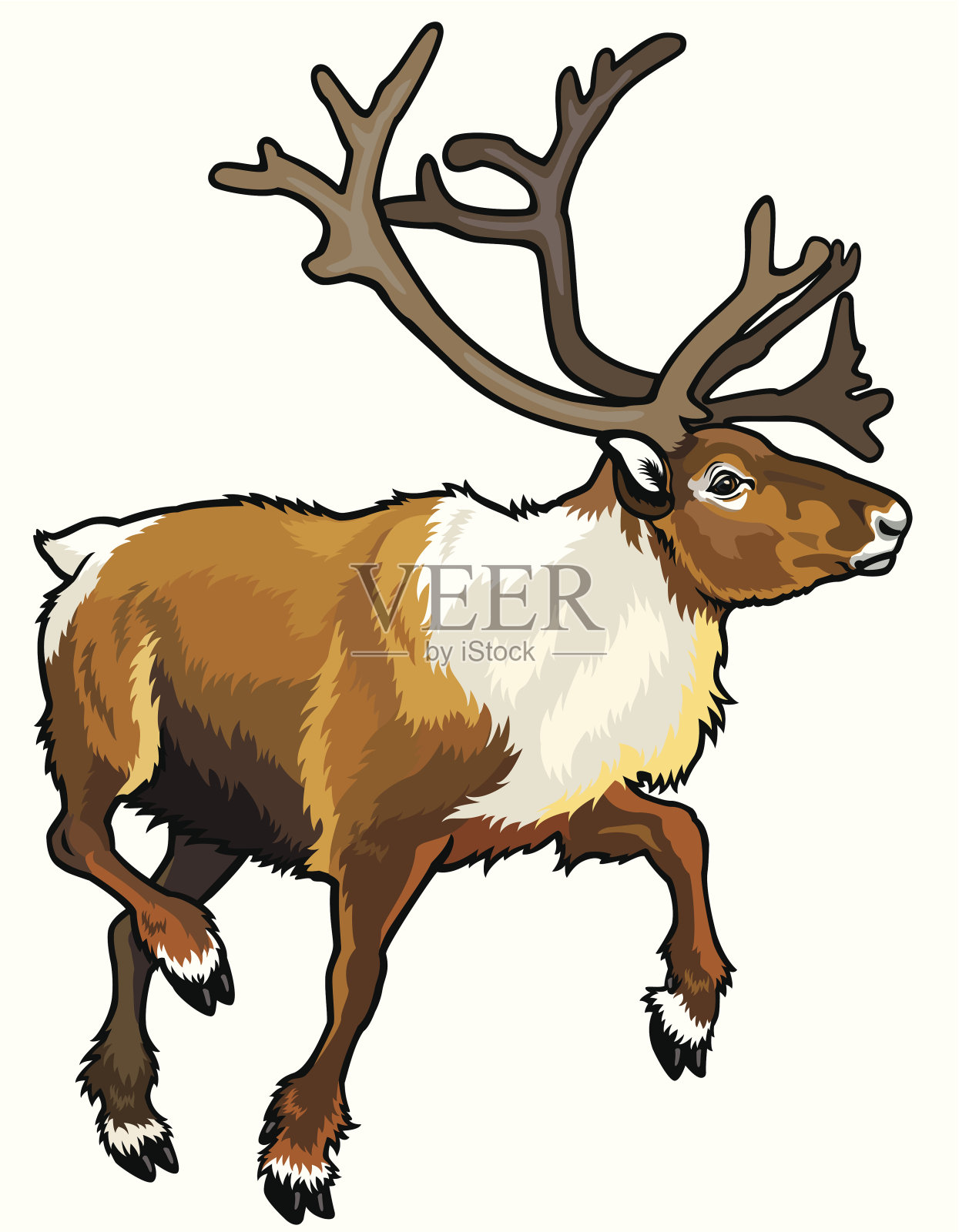 驯鹿驯鹿插画图片素材
