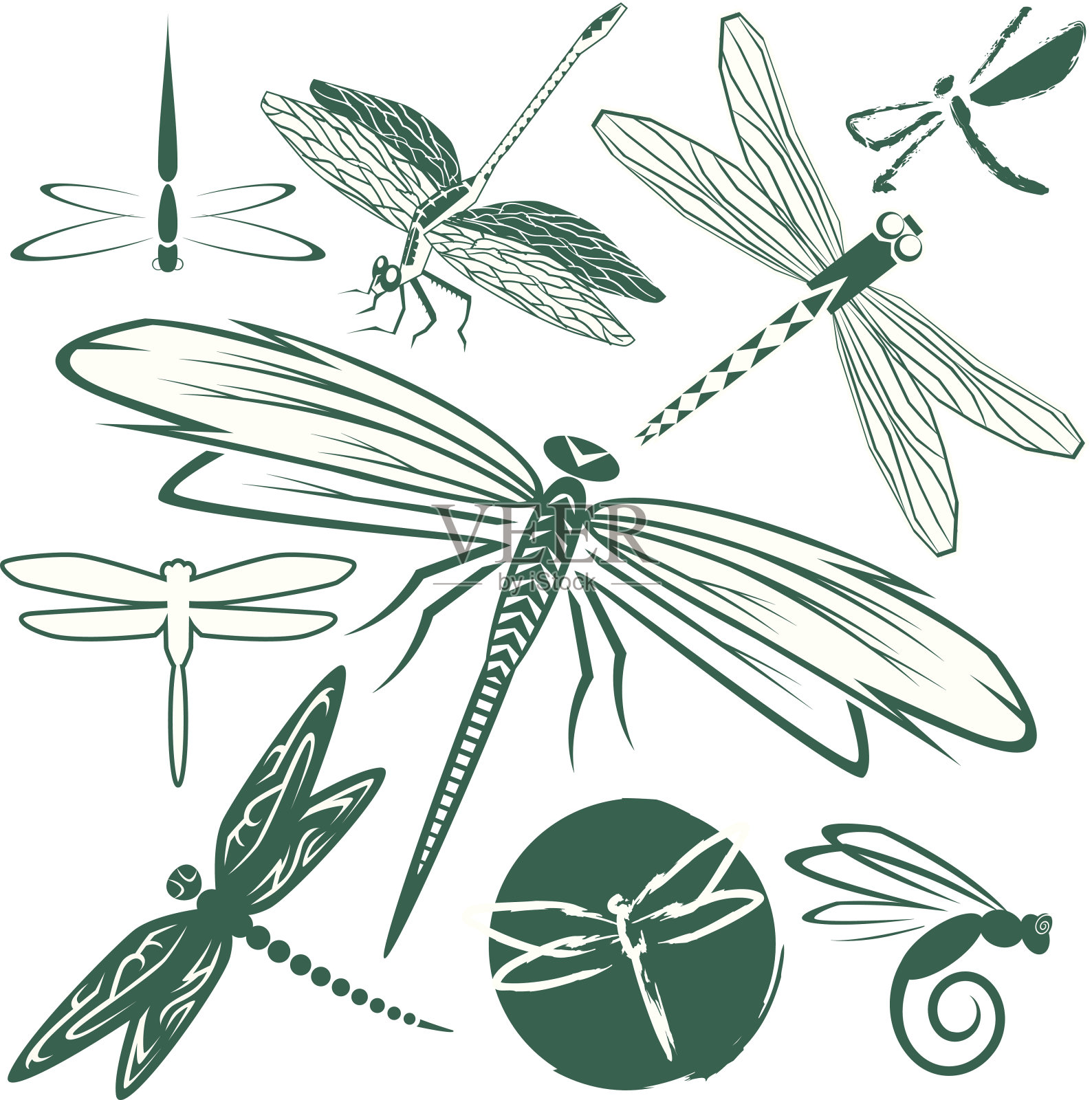 蜻蜓集合插画图片素材