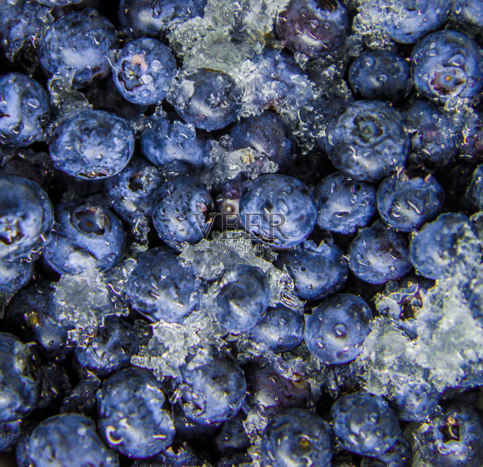 蓝莓在冰上照片摄影图片