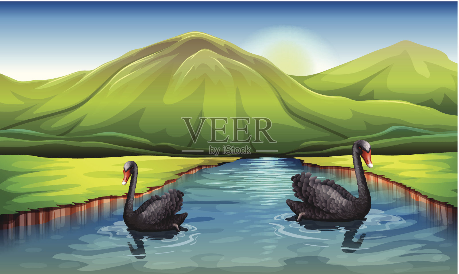 河里的天鹅插画图片素材