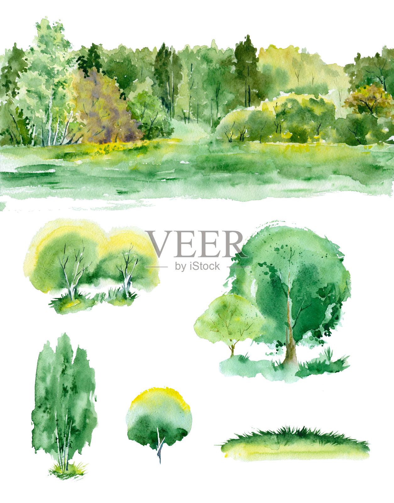 绿树水彩画。插画图片素材