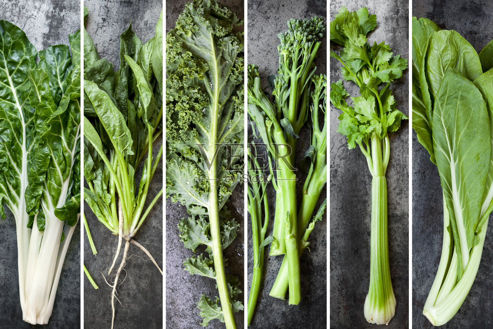 绿色蔬菜食品拼贴照片摄影图片
