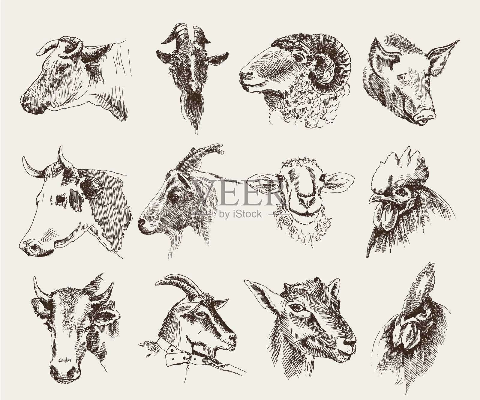 各种农场动物的头设计元素图片