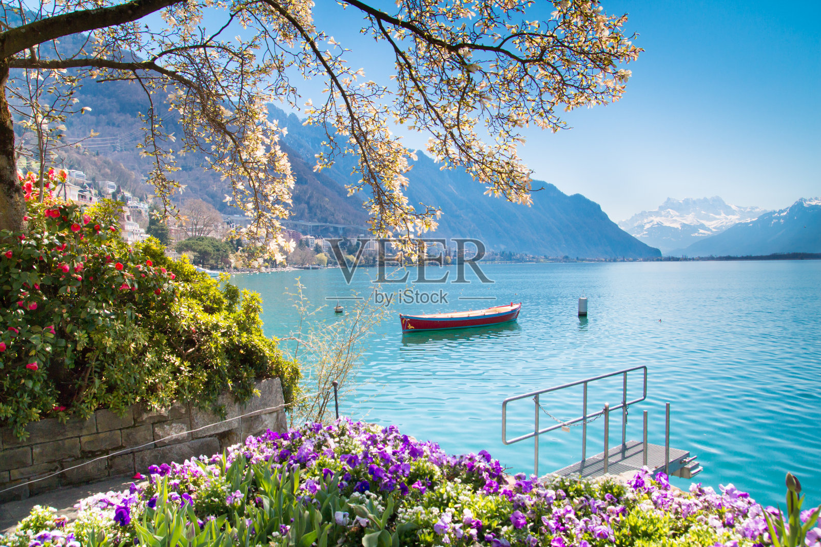 蒙特勒和日内瓦湖，瑞士 (© Westend61/Getty Images)