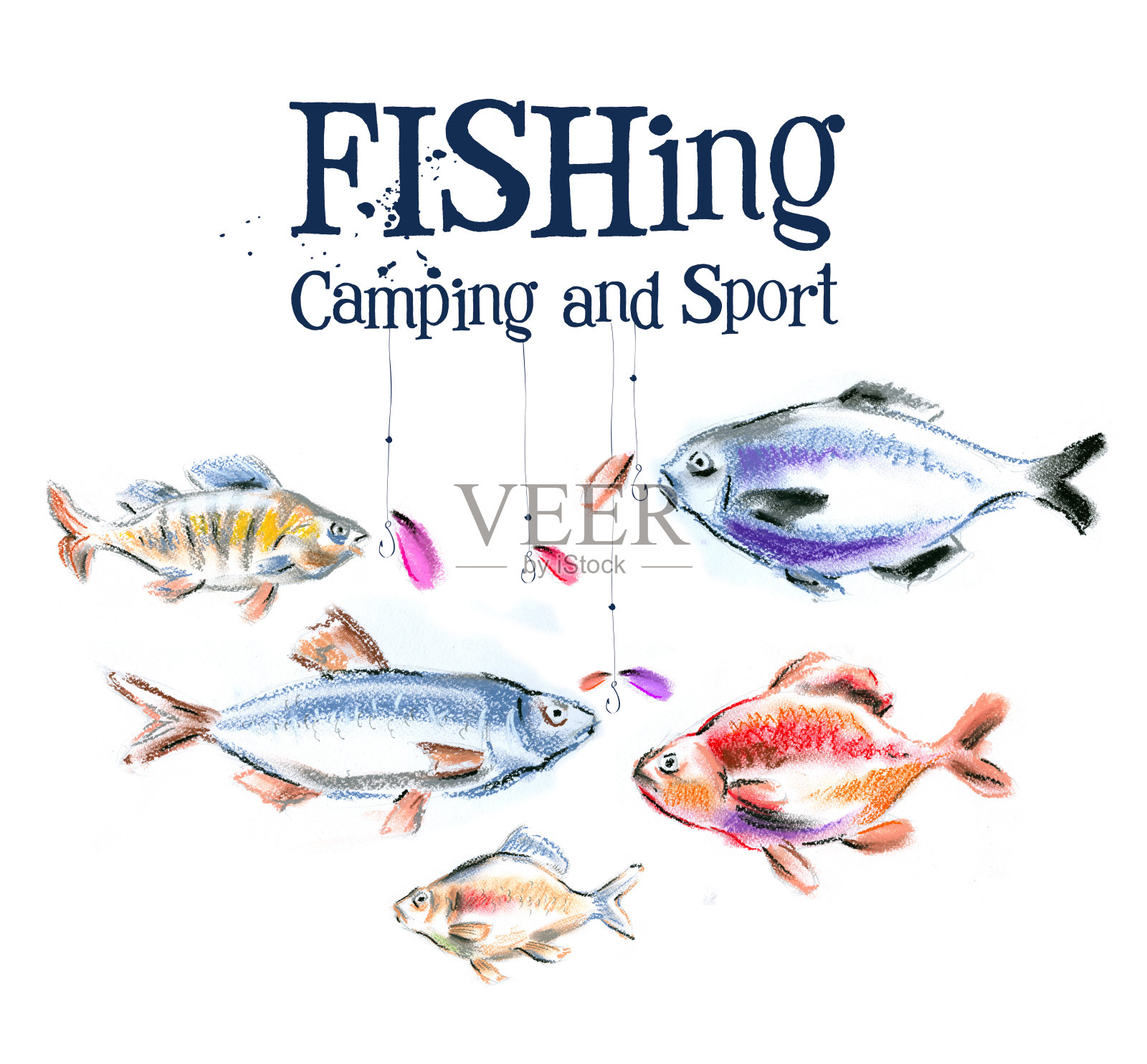 钓鱼。白底上的鲜鱼插画图片素材