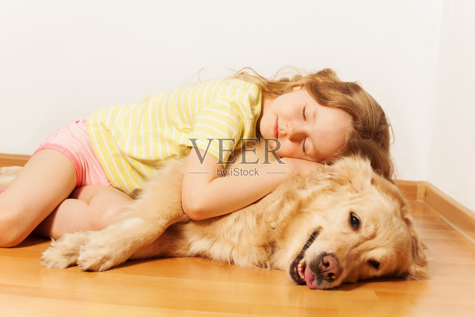 睡着的小女孩躺在她的金毛寻回犬照片摄影图片