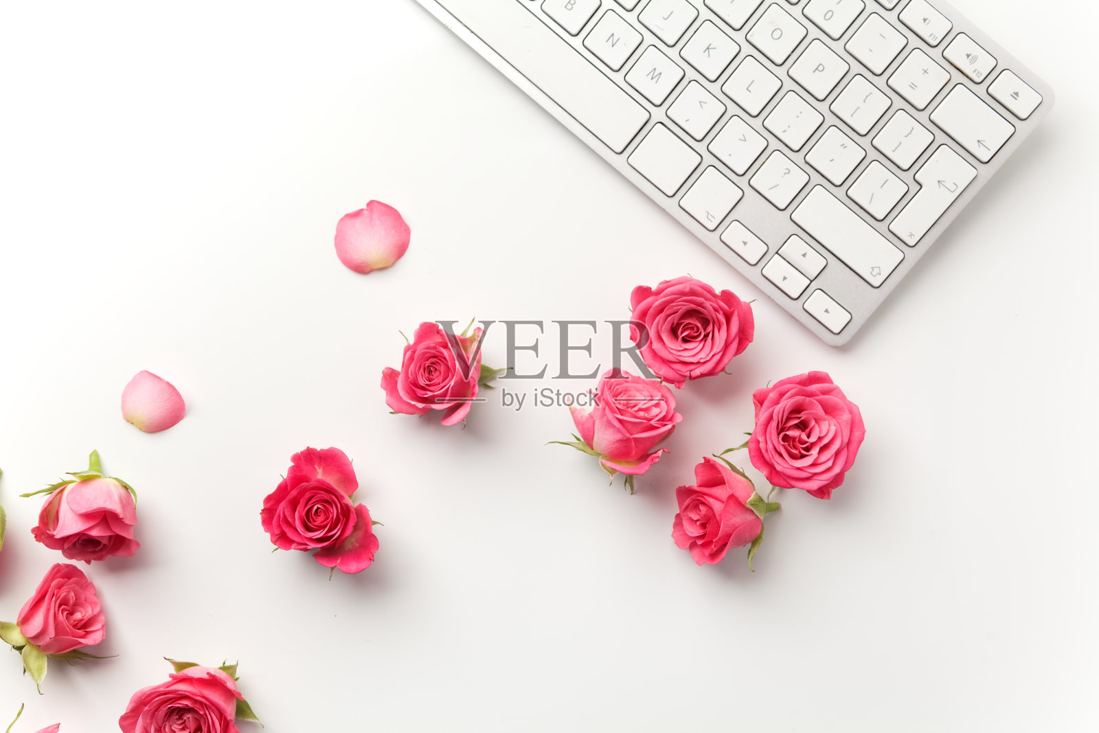 白色背景的粉红玫瑰键盘。平的。前照片摄影图片