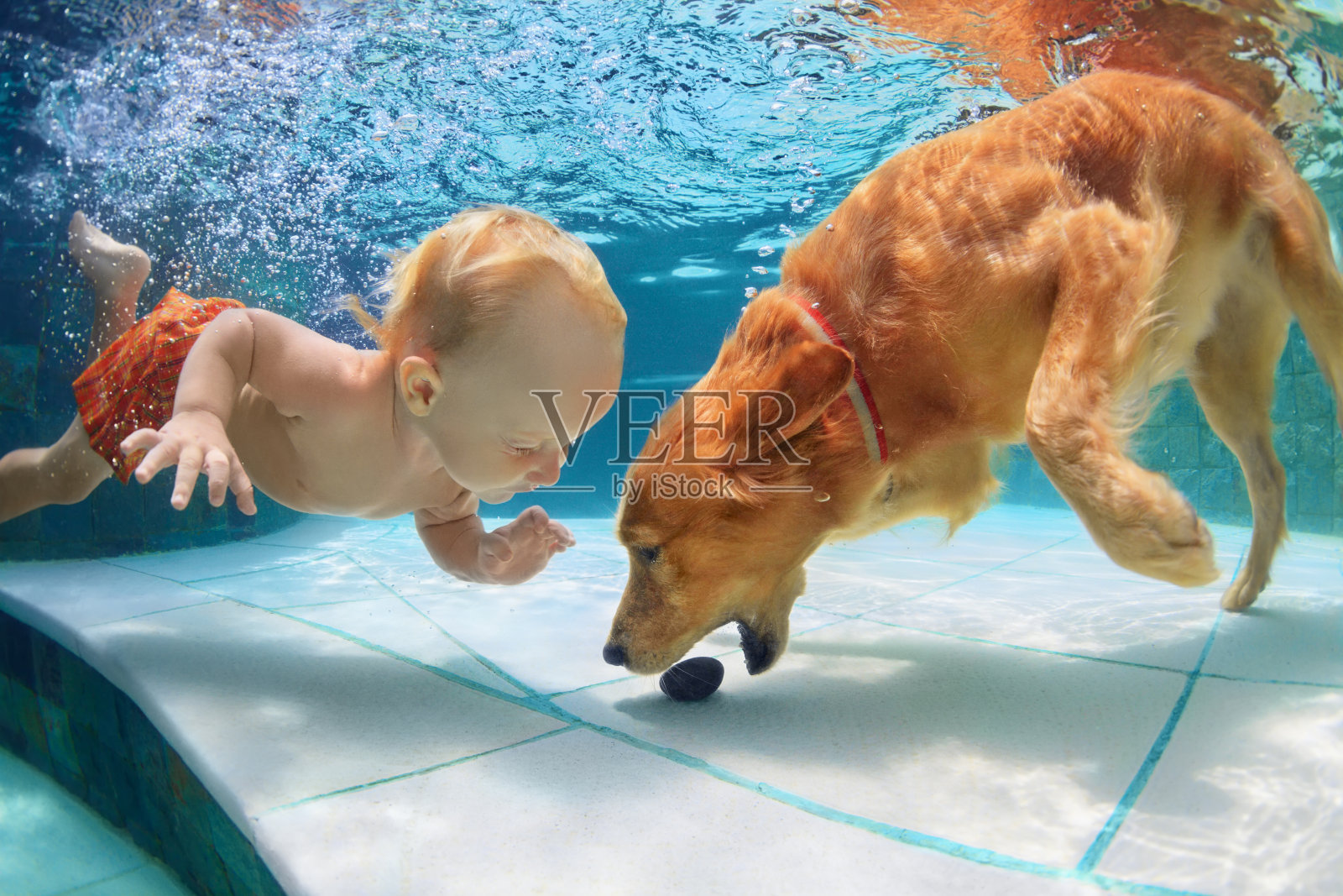 小孩在水下游泳，和狗玩耍照片摄影图片