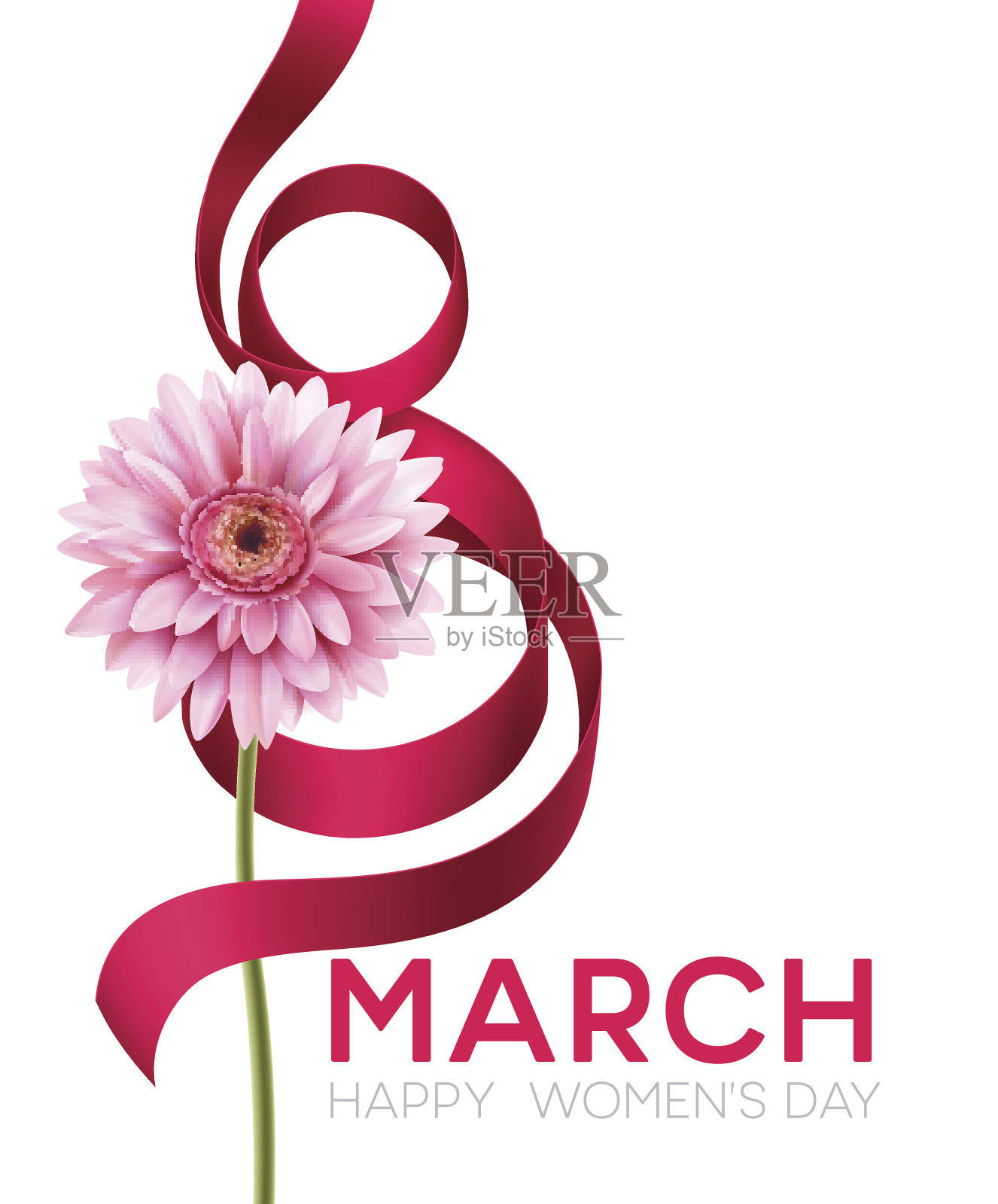 问候横幅与非洲菊花和丝带。3月8日是国际妇女节。矢量图插画图片素材