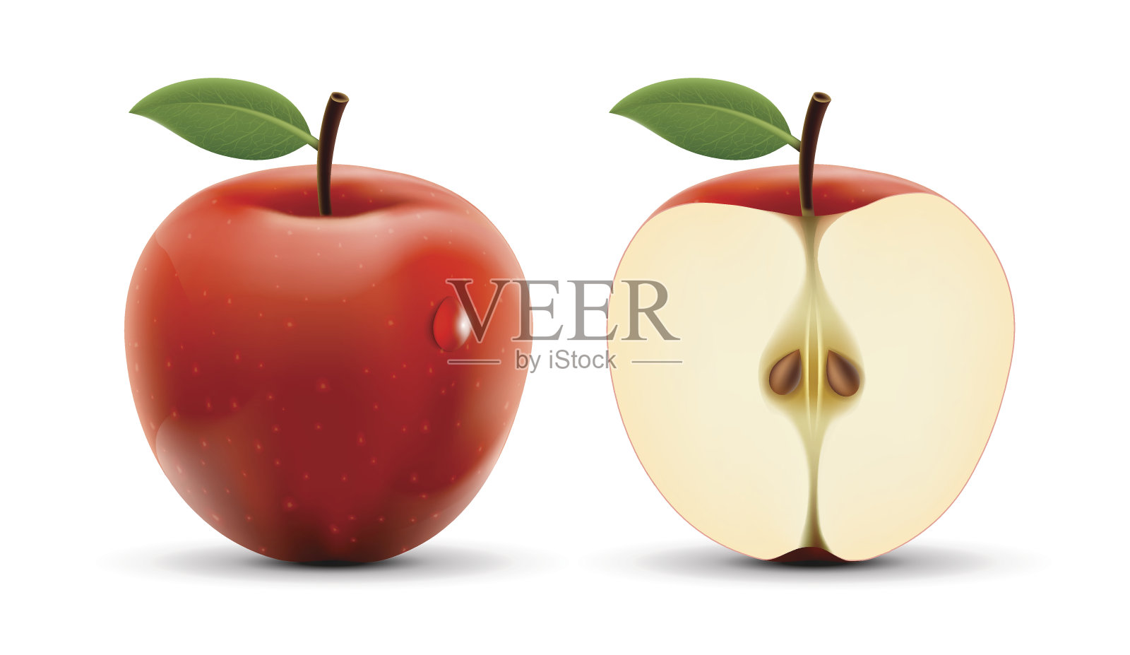 整数和切苹果孤立在白色背景。插画图片素材