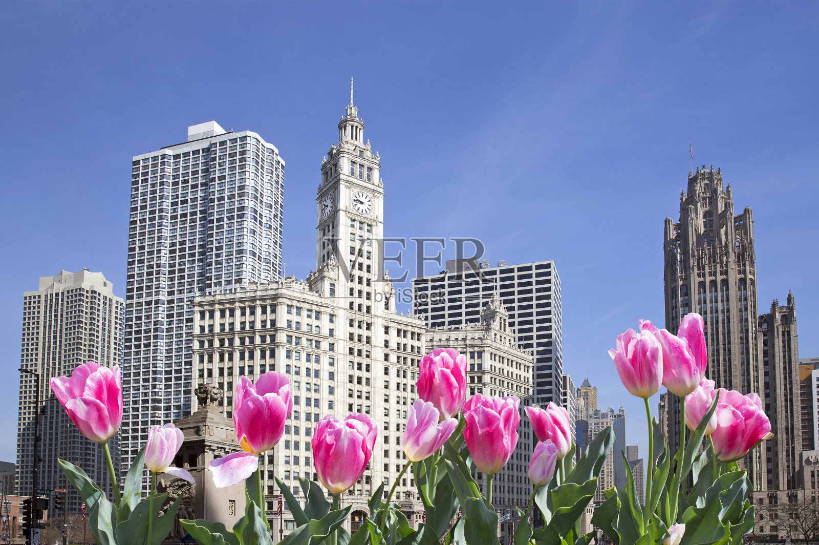 在芝加哥的春天照片摄影图片