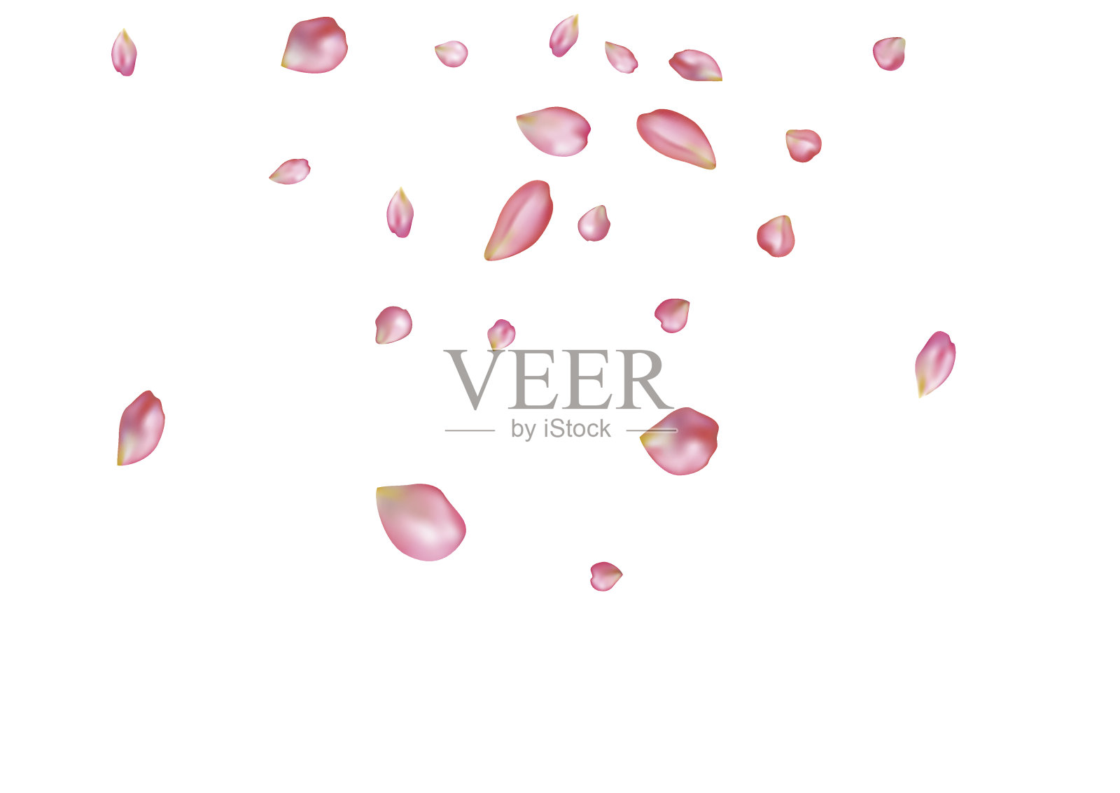 抽象背景与飞舞的粉色玫瑰花瓣。插画图片素材
