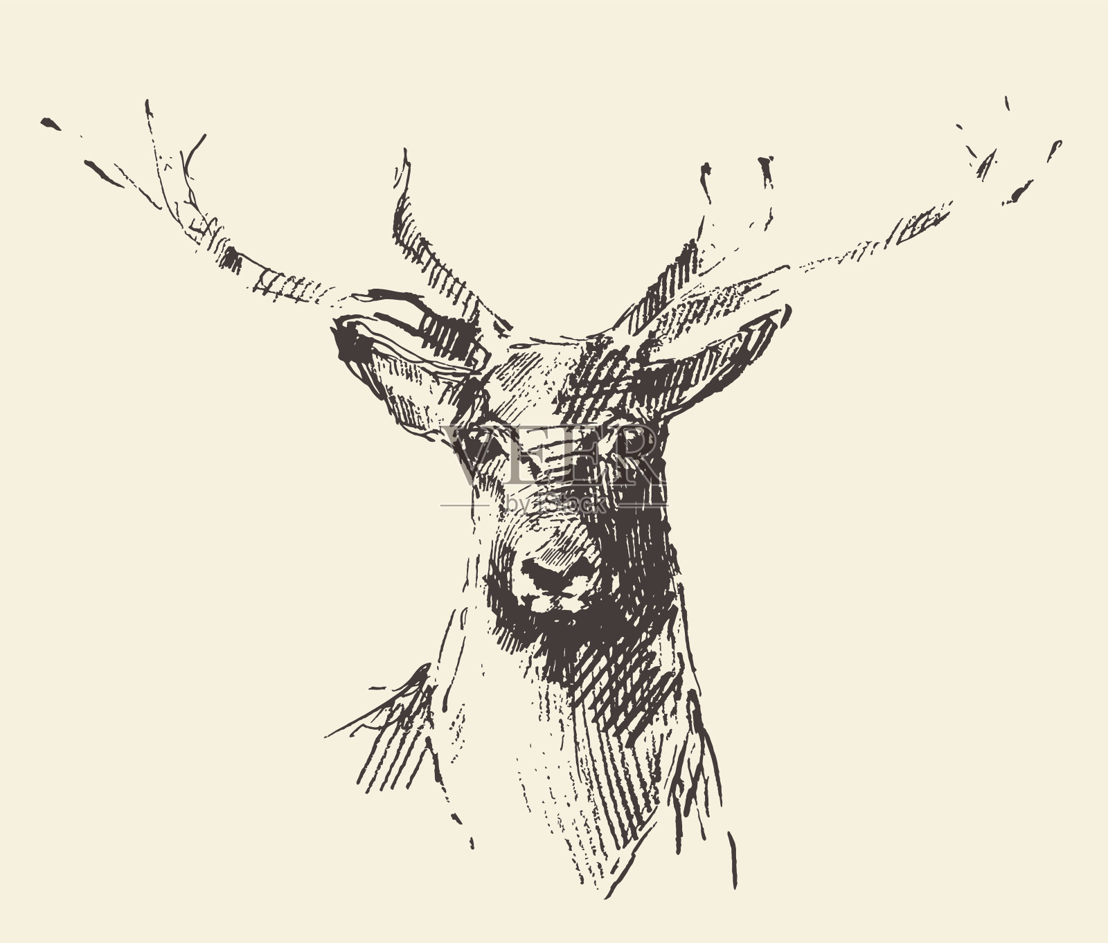 鹿版画插图手绘素描插画图片素材