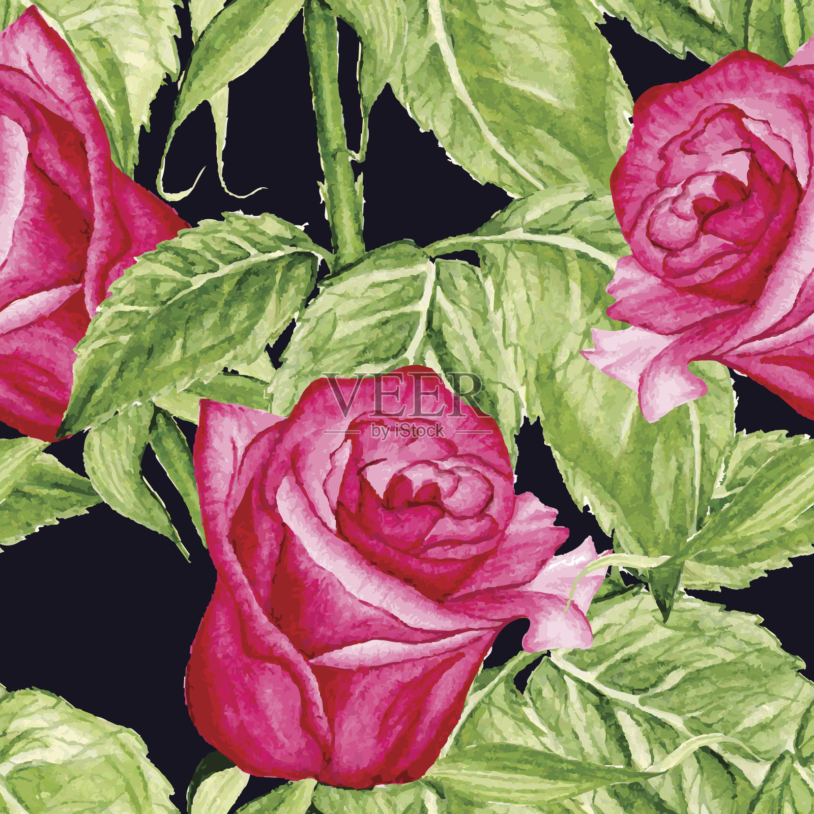 矢量无缝玫瑰水彩模式插画图片素材