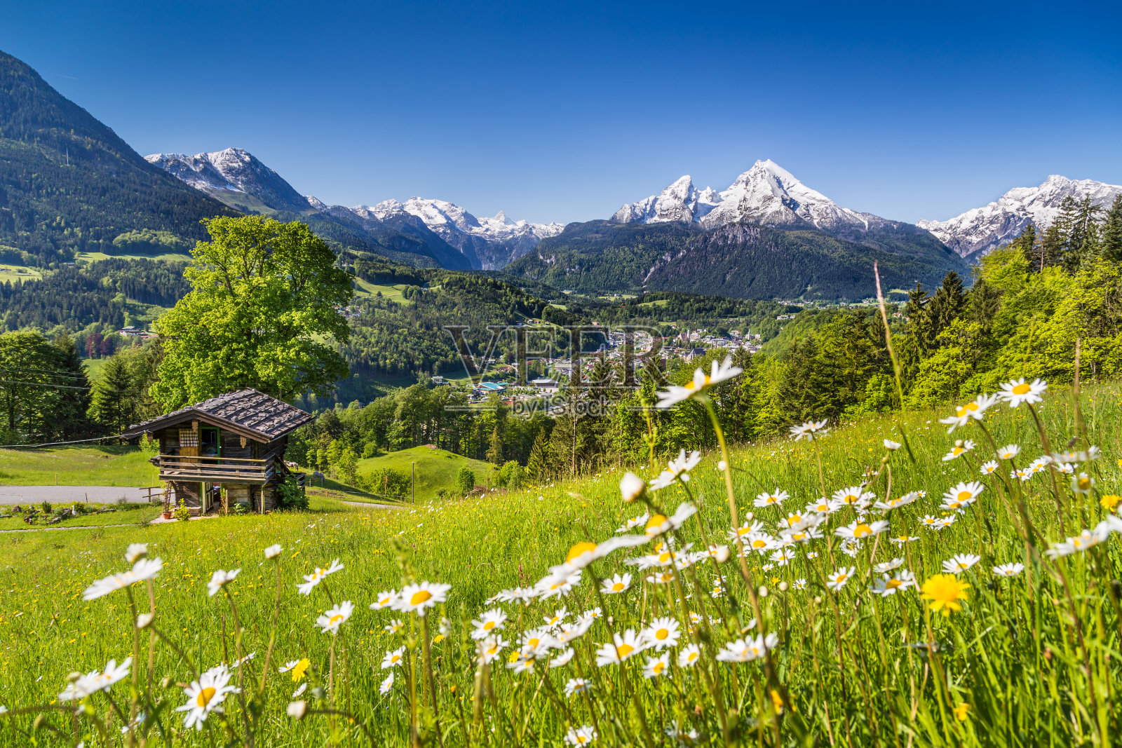阿尔卑斯山田园诗般的山景照片摄影图片