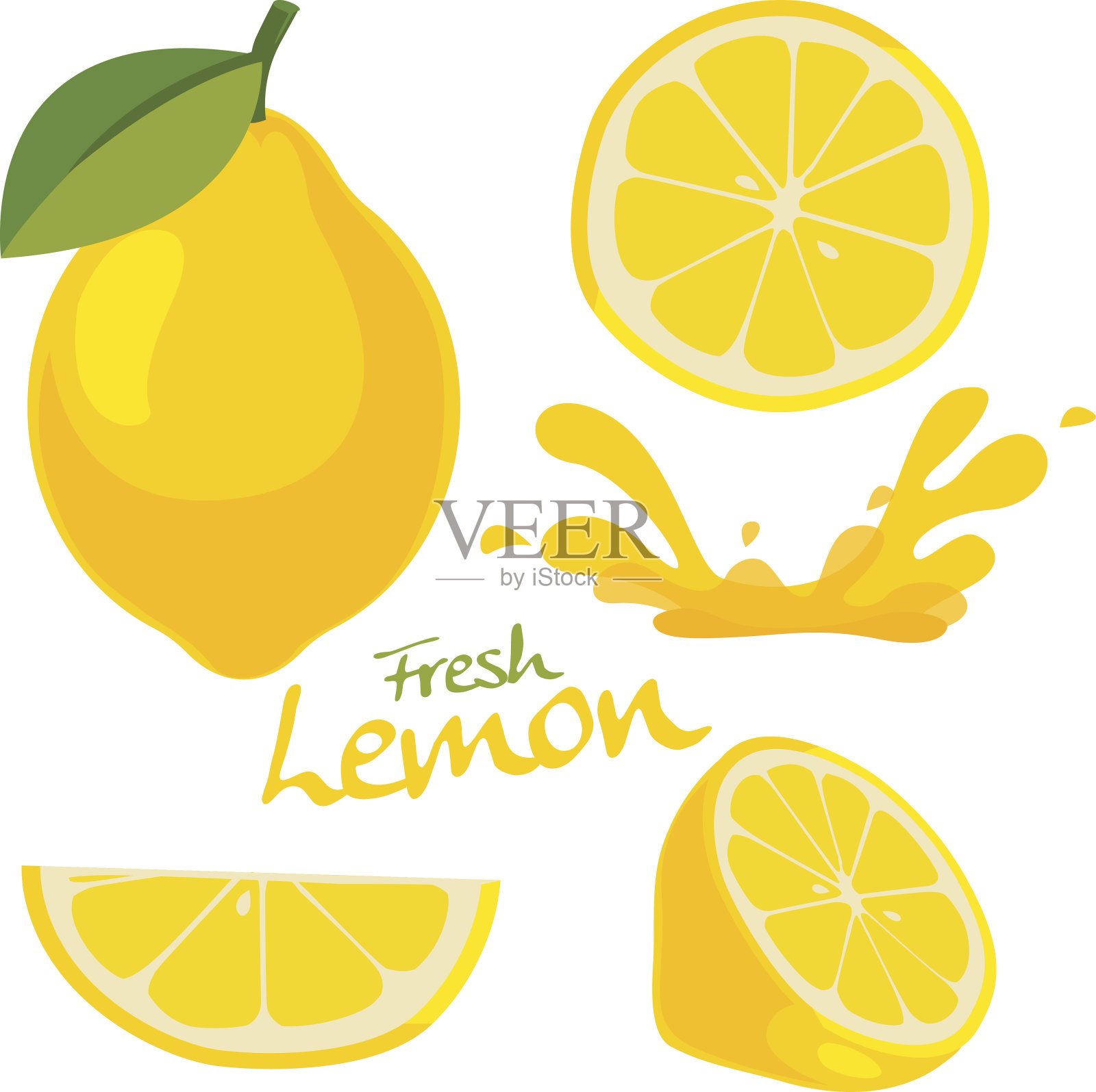 新鲜的柠檬向量插画图片素材