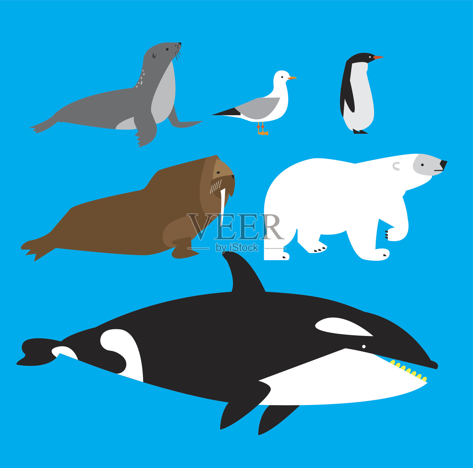 北极的动物插画图片素材