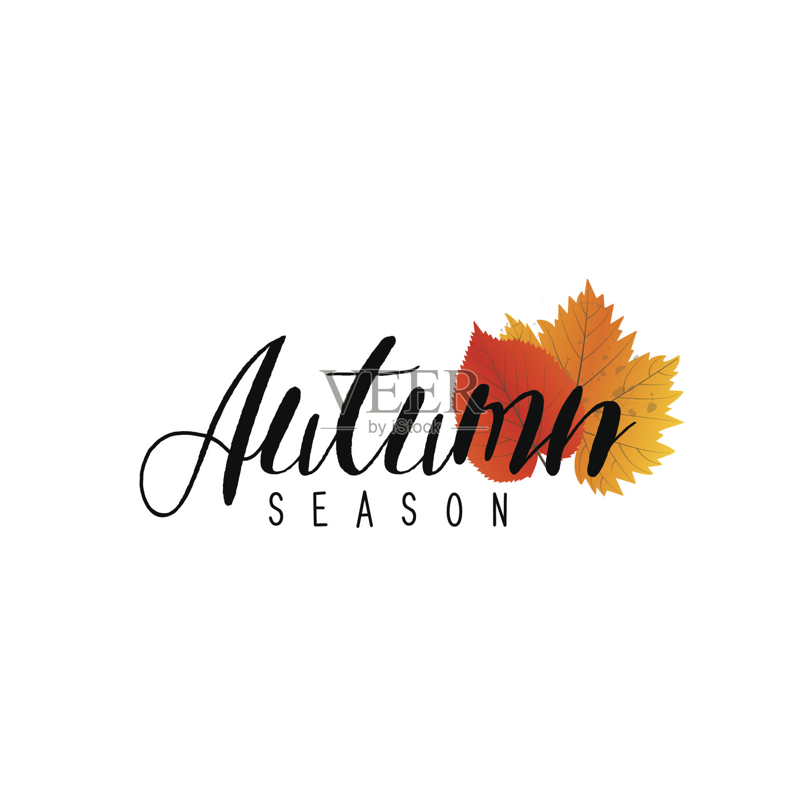 秋季新一季的促销和折扣，优惠和优惠。设计元素图片