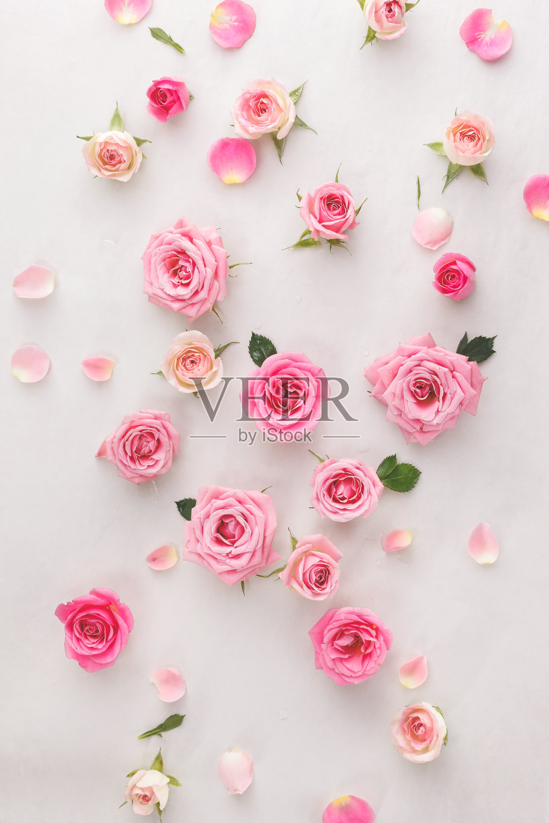 玫瑰花瓣背景照片摄影图片