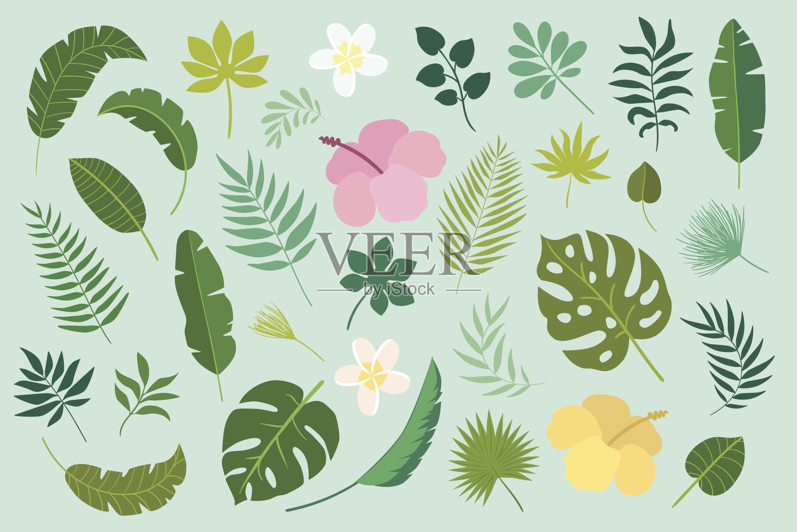 矢量集热带叶和花设计元素图片