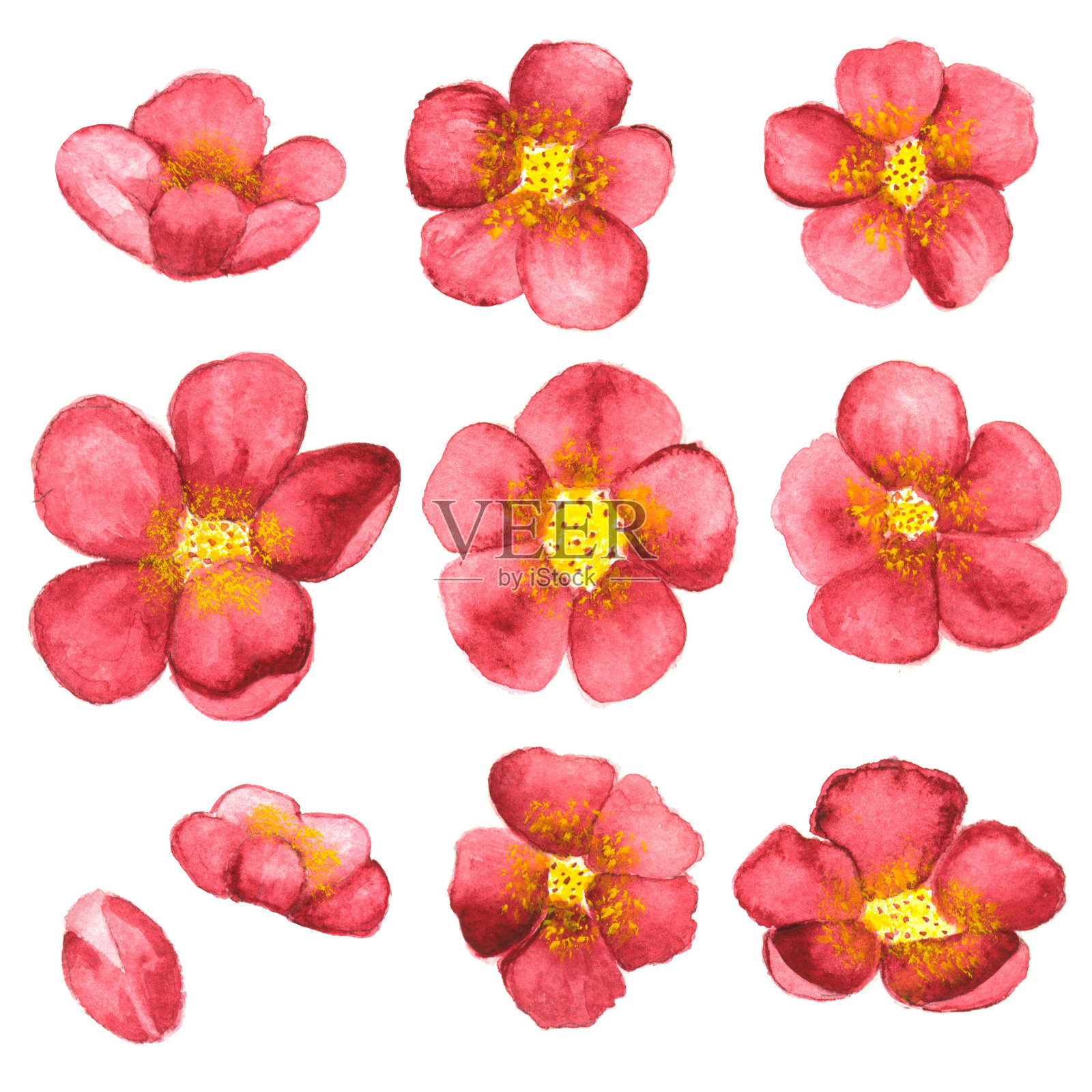 水彩画樱花，樱花树花插画图片素材