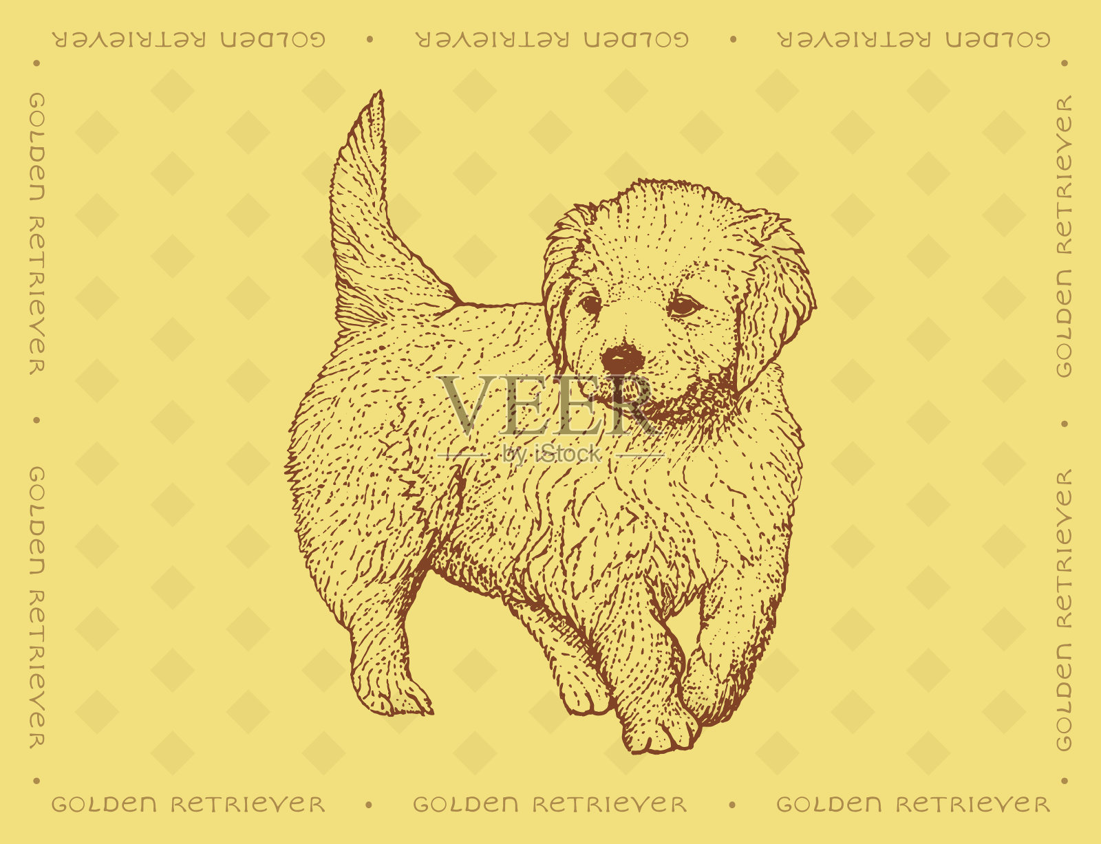 在黄色装饰背景上的金毛猎犬插画图片素材