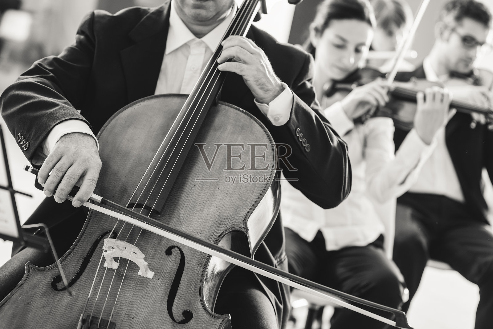 职业大提琴手照片摄影图片