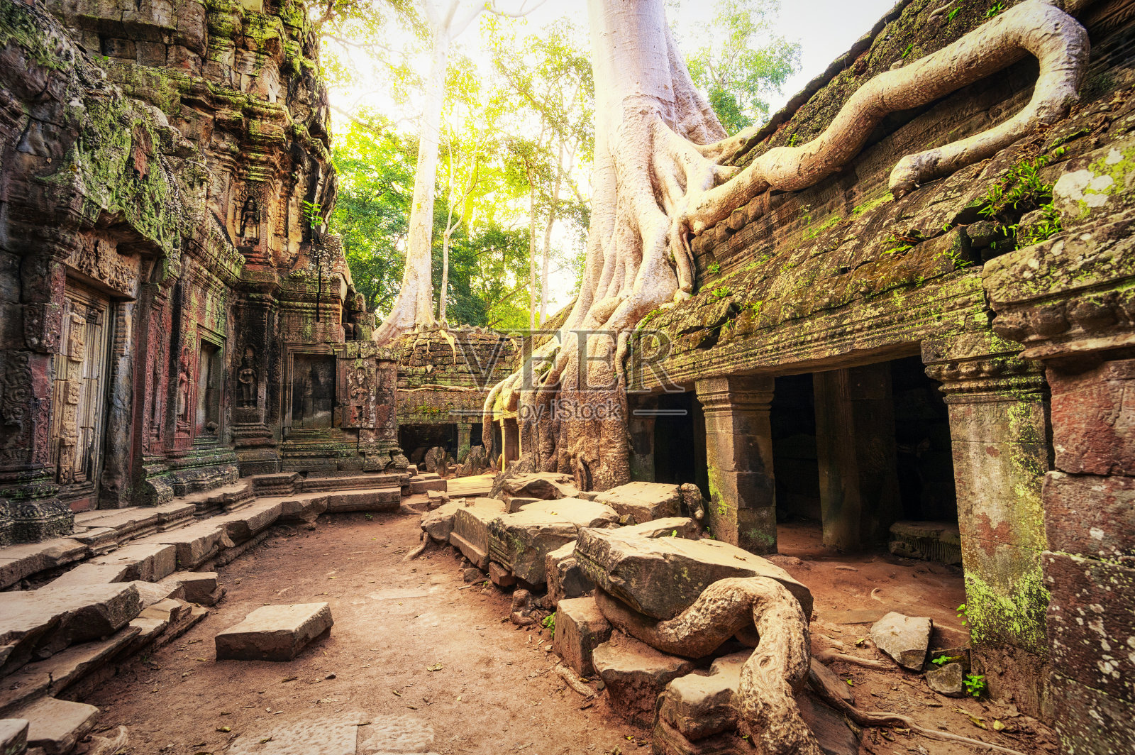 柬埔寨吴哥窟。塔普罗姆高棉神庙照片摄影图片