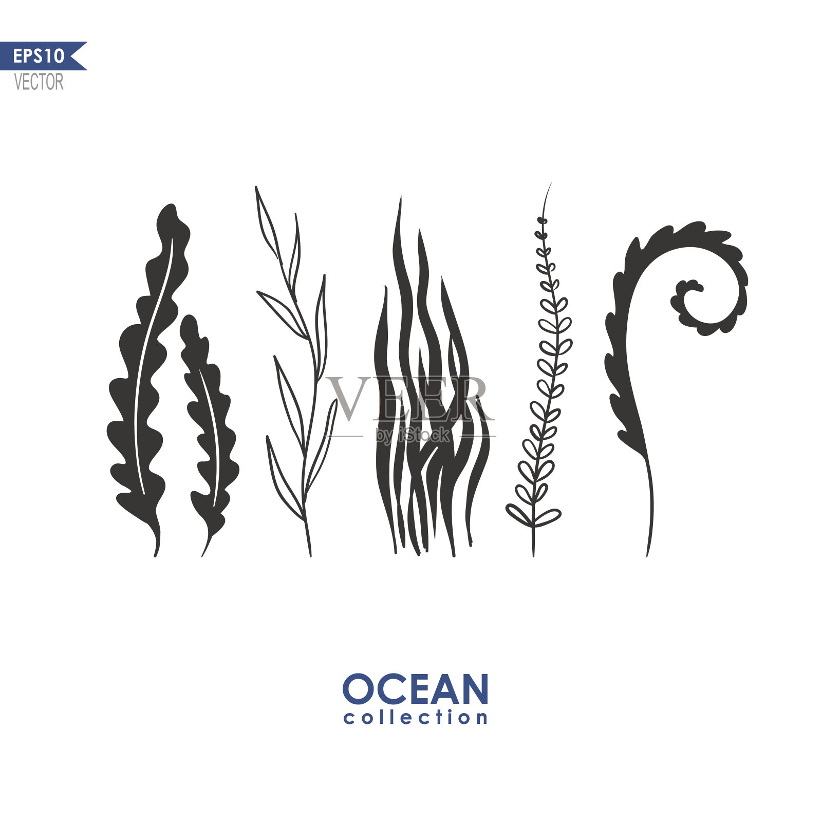 海草和水生植物插画图片素材