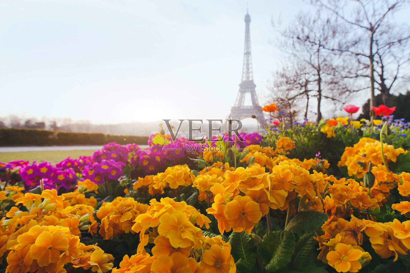 春天的巴黎照片摄影图片