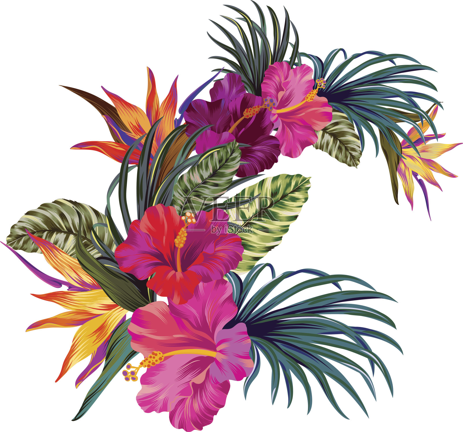 向量热带花束插画图片素材