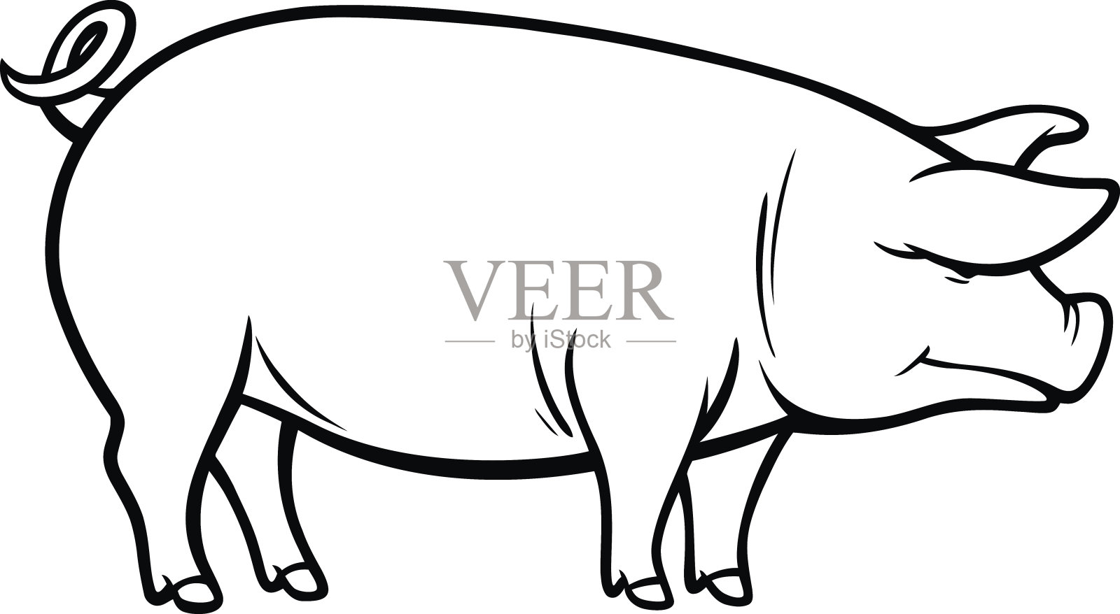 猪的插图设计元素图片