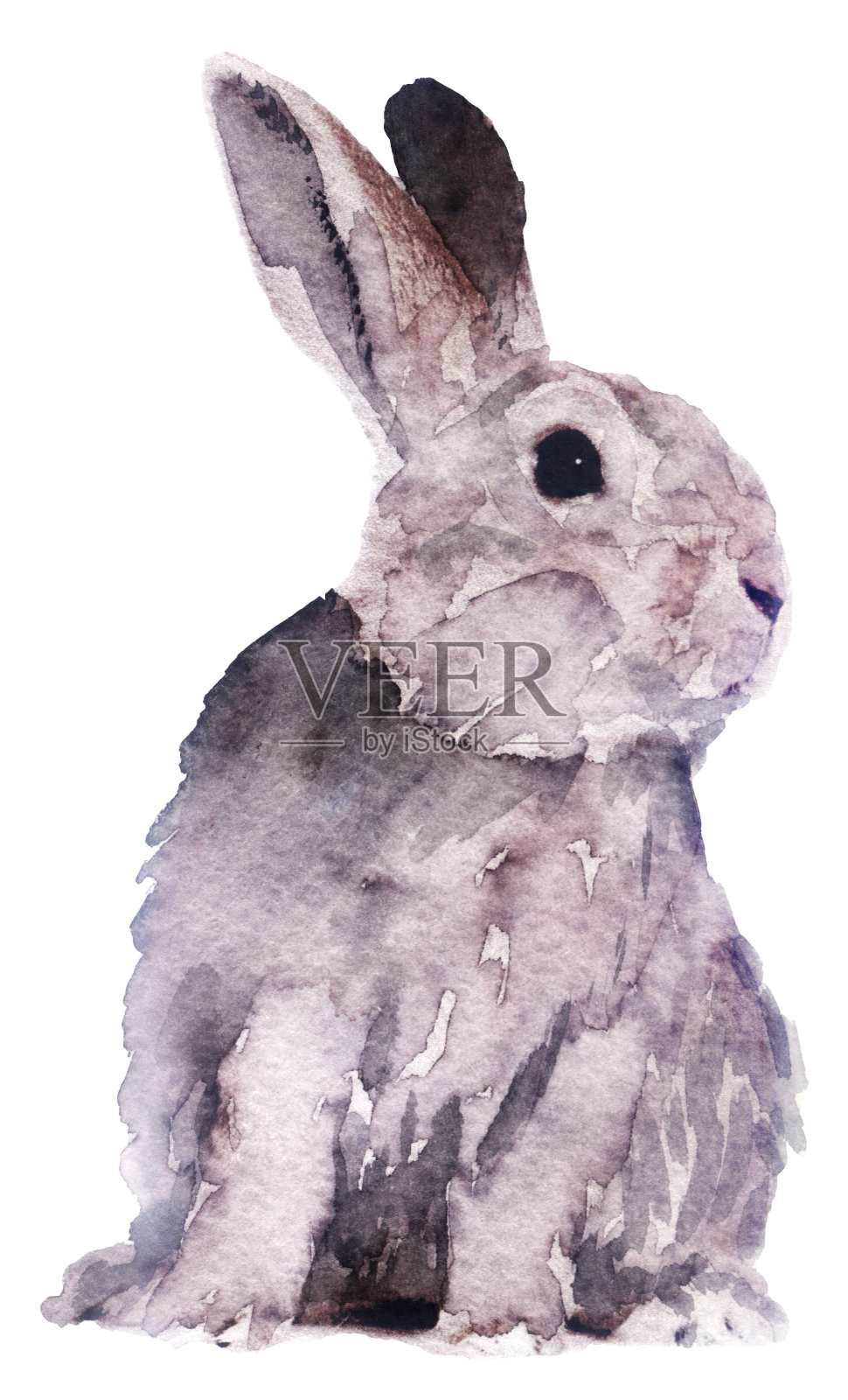 白色背景上的水彩画兔子插画图片素材