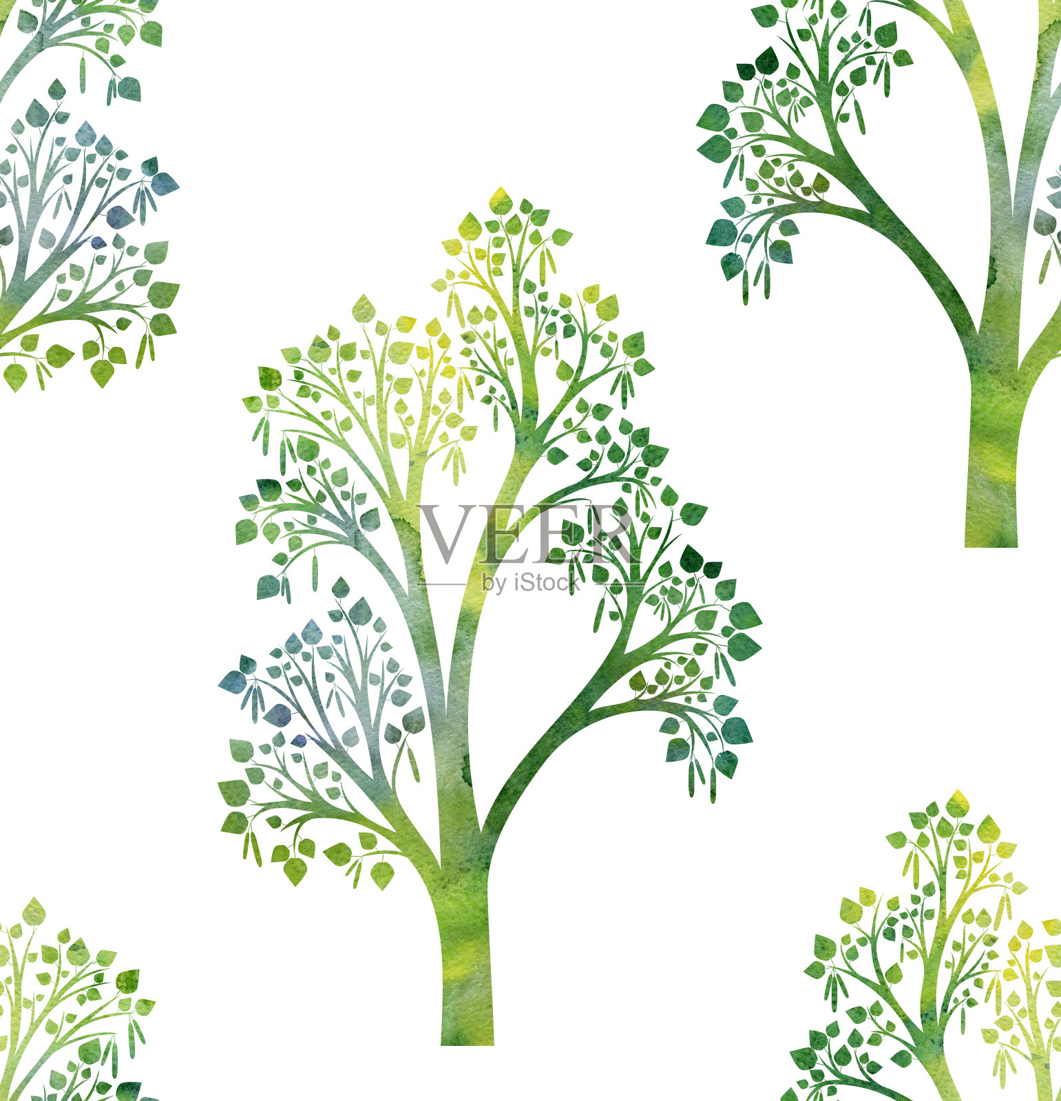 自然无缝图案与桦树的枝叶和绿叶插画图片素材