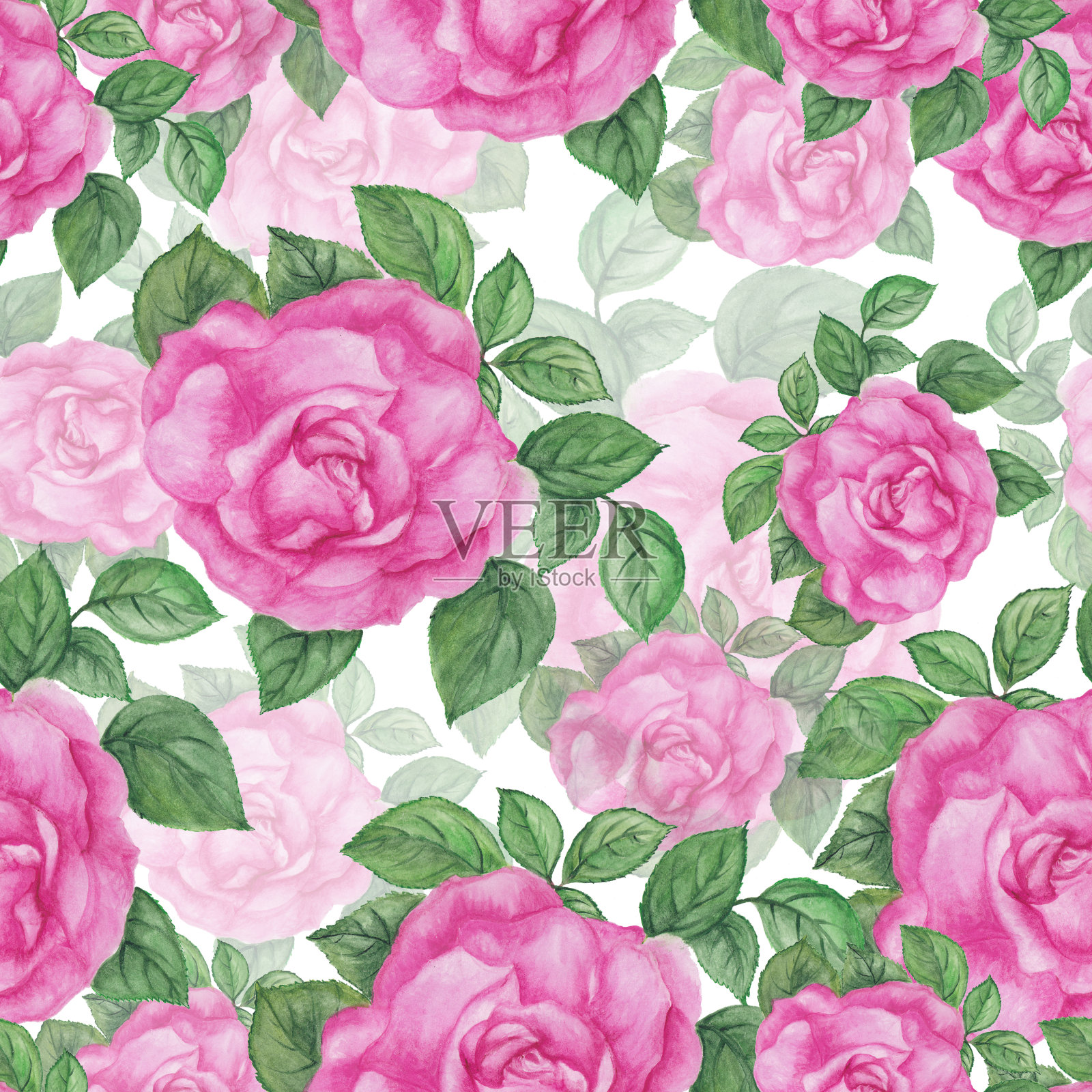 粉色的玫瑰图案插画图片素材
