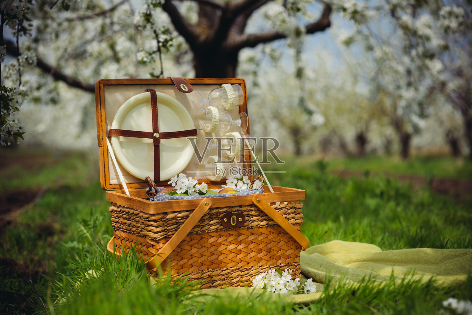 春天花园里的野餐篮照片摄影图片