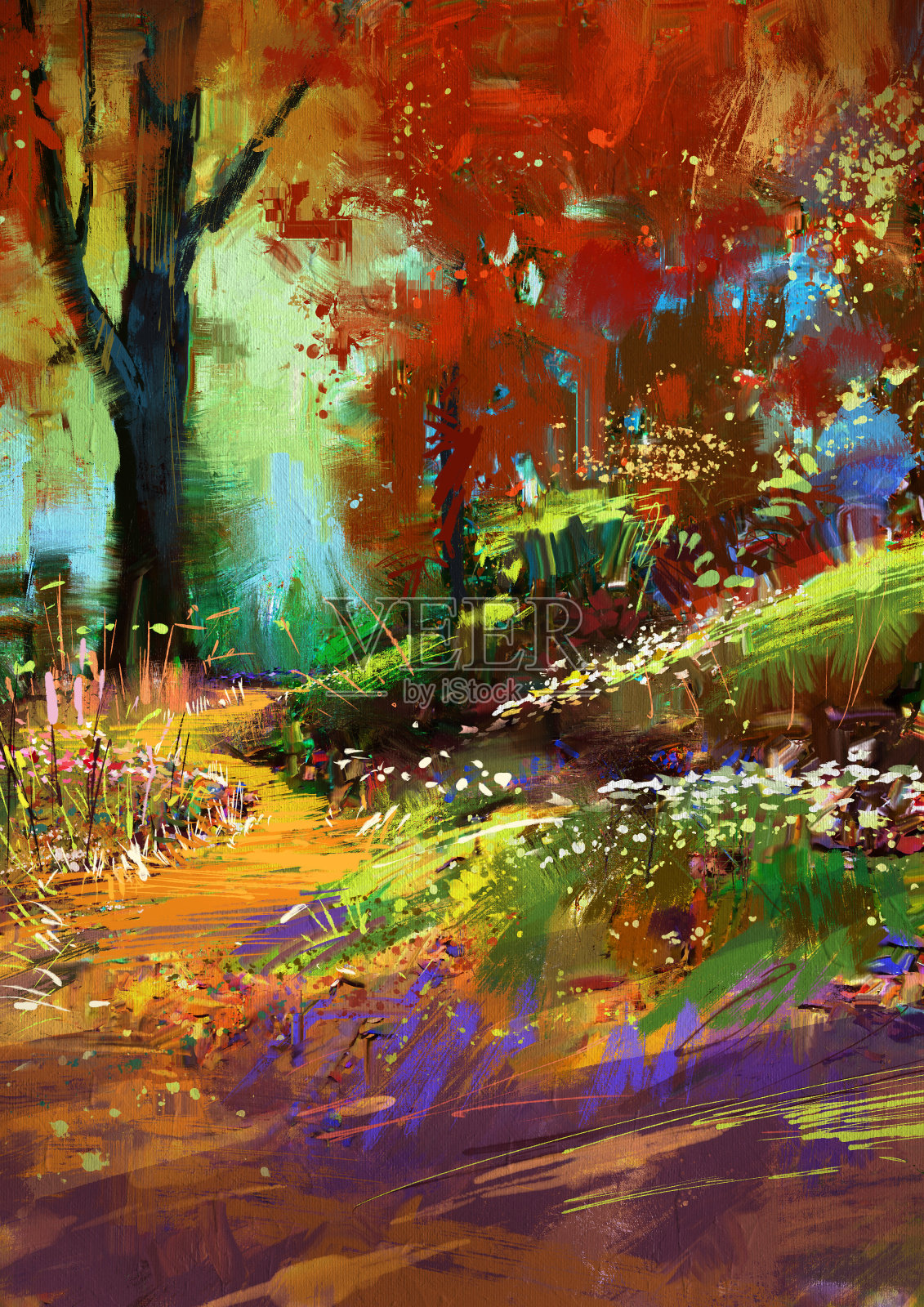 秋天色彩斑斓的森林插画图片素材